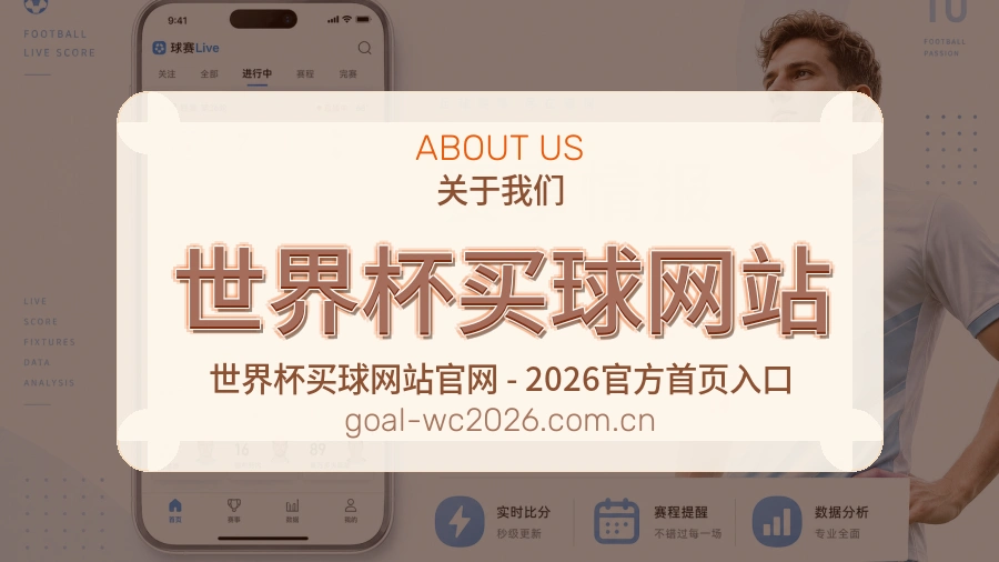 关于 世界杯买球网站